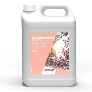Crème nettoyante professionnelle AEXALT AEXAMOUSSE 5L sans solvant ni abrasif