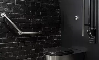 Barre d'appui PMR inox Ø25mm 300mm DELABIE Série 530 fixation 3 trous