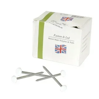 Clavo acero inoxidable NICOLL punta plástico blanco BELRIV 65 mm lote 100