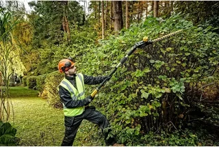 DEWALT DCMPH566N-XJ Taille-haies orientable 18V Brushless XR sans batterie