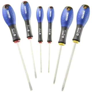 Set di 6 cacciaviti a taglio e Phillips Facom Expert E160902
