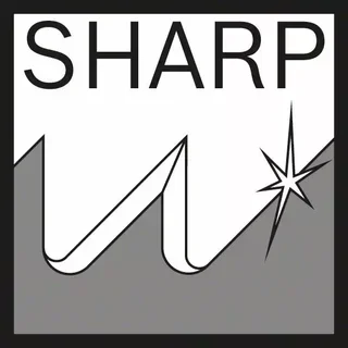 Lames scie sabre Bosch S 1531 L Top for Wood 240 mm bois élagage lot 25