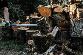 Merlin DC 3000 EM Multi-Material Shredder REVEX – Ref. 006927