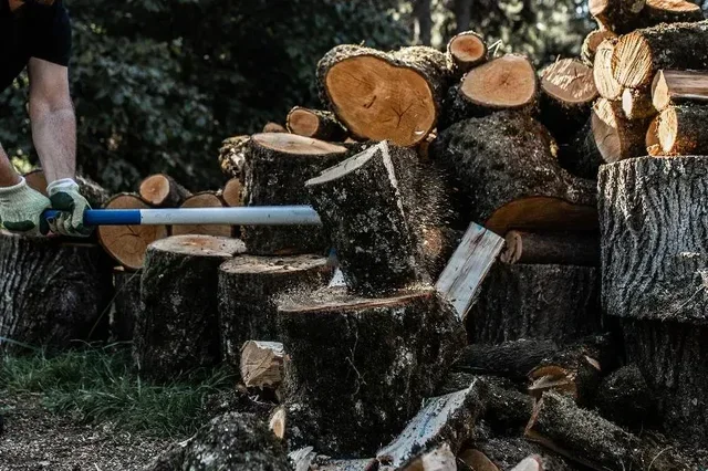 Merlin DC 3000 EM Multi-Material Shredder REVEX – Ref. 006927