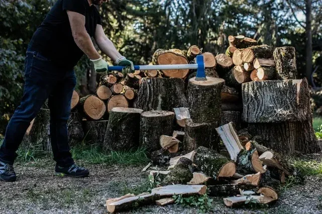 Merlin DC 3000 EM Multi-Material Shredder REVEX – Ref. 006927