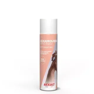 Nettoyant mains AEXALT AEXAMOUSSE mousse sans eau 210 ml
