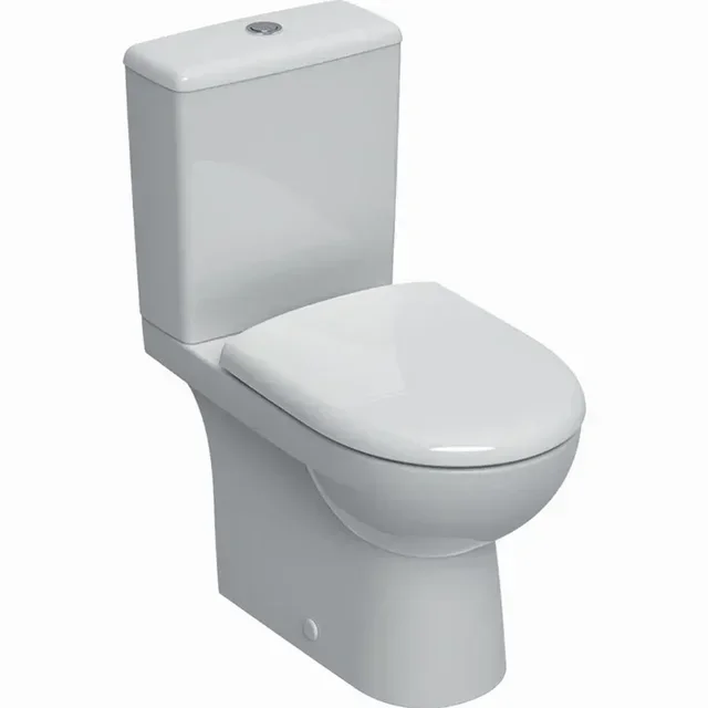 Pacco WC sospeso Renova Geberit con copriwater in duroplast, vaso Rimfree senza bordo, doppio tasto 6L, rif. 501.866.00.1