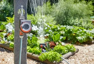 Programador de Riego Automático GARDENA Easy 1887-20 - Temporizador de Irrigación Jardín