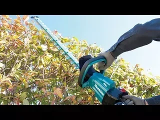 Taille-haie Makita 18V LXT DUH602RT2 60 cm avec 2 batteries 5Ah