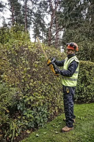 Taille-haie DEWALT DCMHT563P1-QW 55cm XR 18V 5Ah