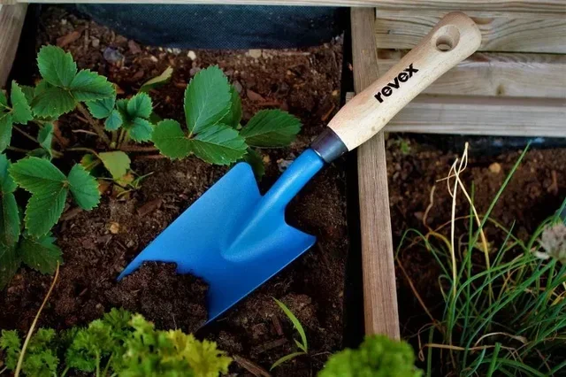 Transplantoir REVEX manche bois 34cm jardinage
