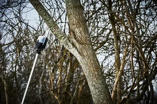 Tronçonneuse perche Makita DUA300Z 36V sans fil - 2,50m portée