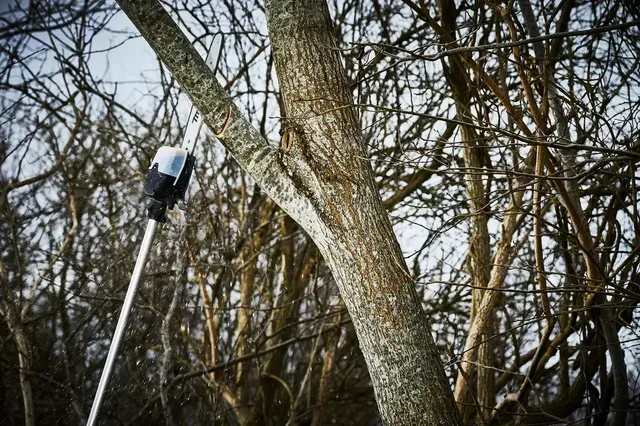 Tronçonneuse perche Makita DUA300Z 36V sans fil - 2,50m portée