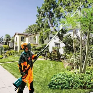 Tronçonneuse sur perche Makita DUA301Z 36V 30cm sans batterie