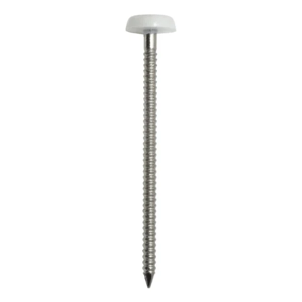Boîte de 100 Pointes annelées inox A4 ACTON – tête bombée PVC – 50 x 2.5mm – 647882;5X50CDT100P